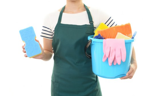 Illustration of cookies and website settings for carpet cleaning site