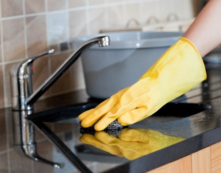 Upholstery and carpet pet odour removal service in Aldborough Hatch