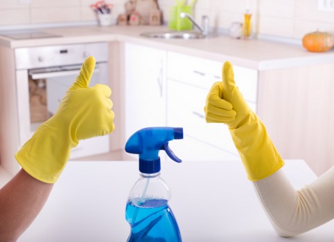Carpet cleaning price estimate shown for a local Aldborough Hatch property