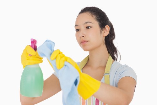 Steam cleaning equipment used for carpet cleaning in Aldborough Hatch