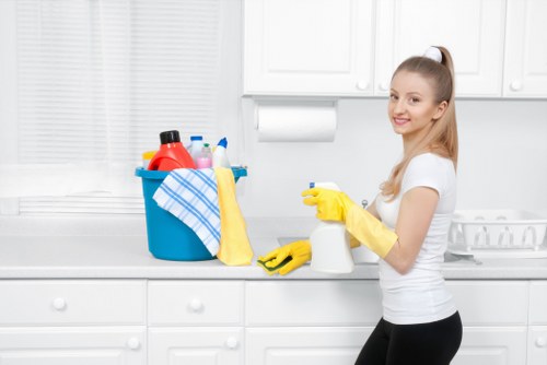Professional stain cleaning on upholstery and rugs