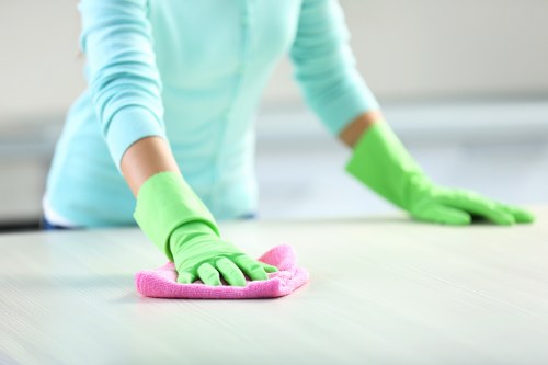 Risk assessment and equipment inspection before carpet cleaning