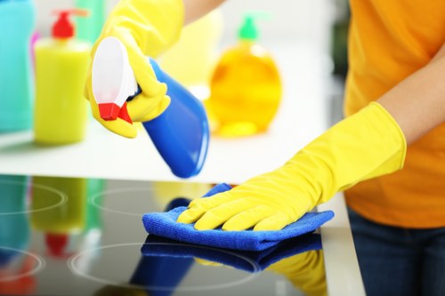 Public liability insurance and professional carpet care concept